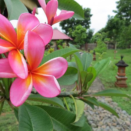 Tegal Sari, Pemuteran- North Bali Hotell Eksteriør bilde