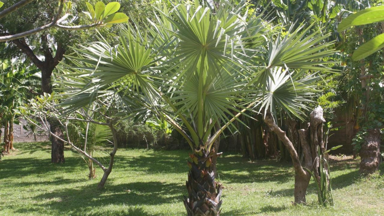 Tegal Sari, Pemuteran- North Bali Hotell Eksteriør bilde