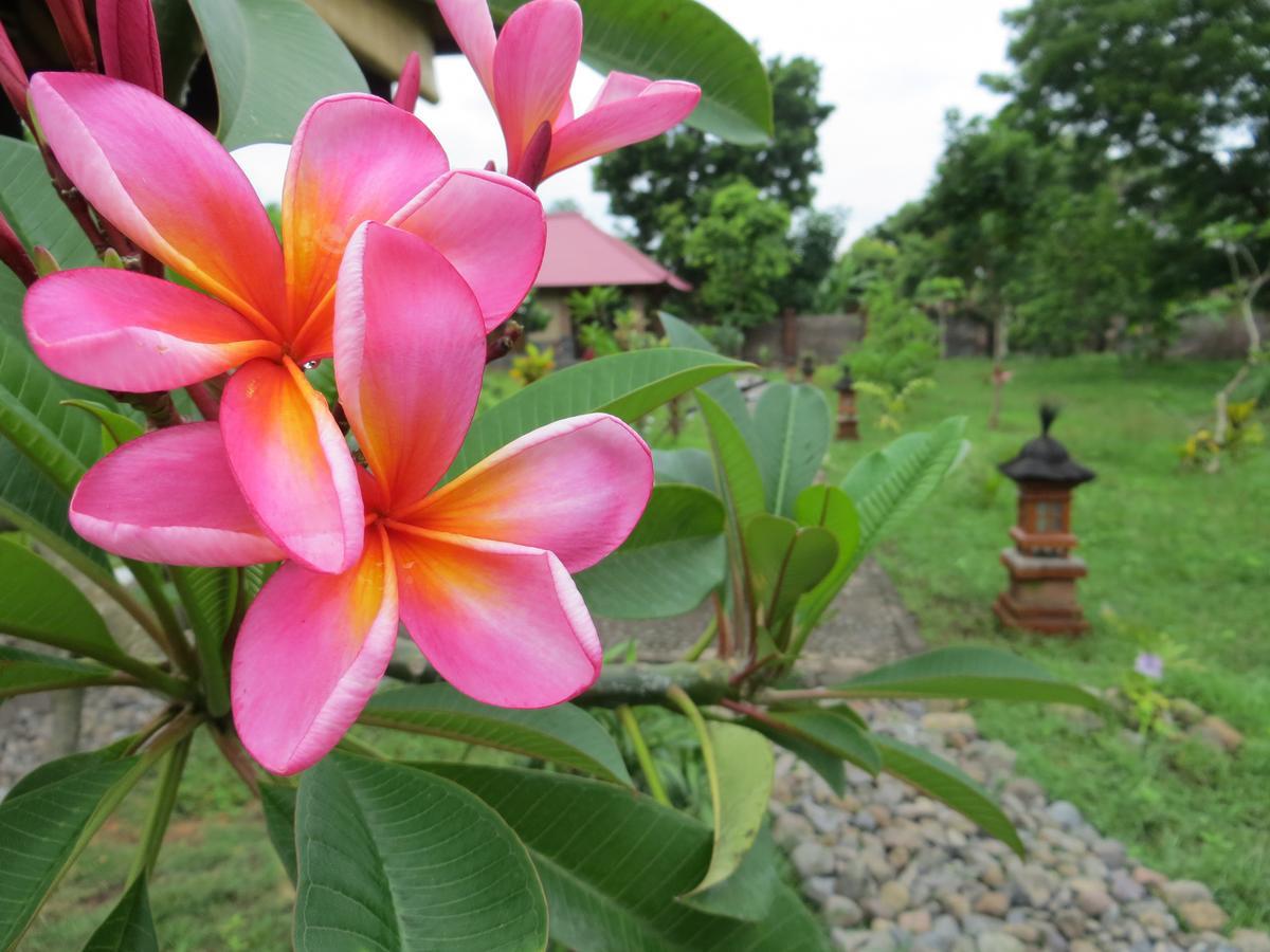 Tegal Sari, Pemuteran- North Bali Hotell Eksteriør bilde