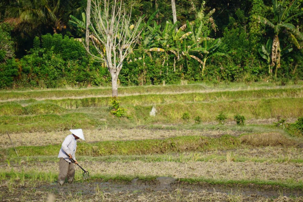 Tegal Sari, Pemuteran- North Bali Hotell Eksteriør bilde