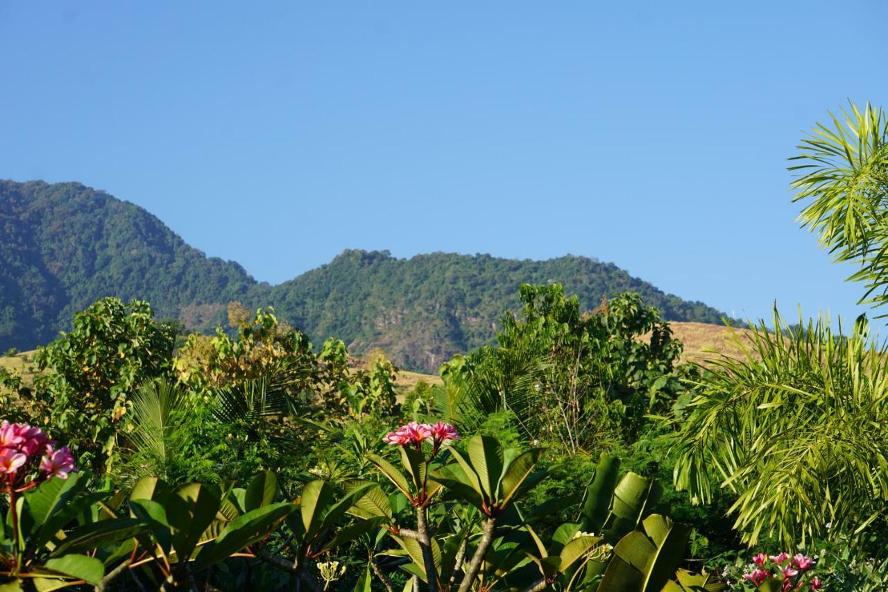 Tegal Sari, Pemuteran- North Bali Hotell Eksteriør bilde