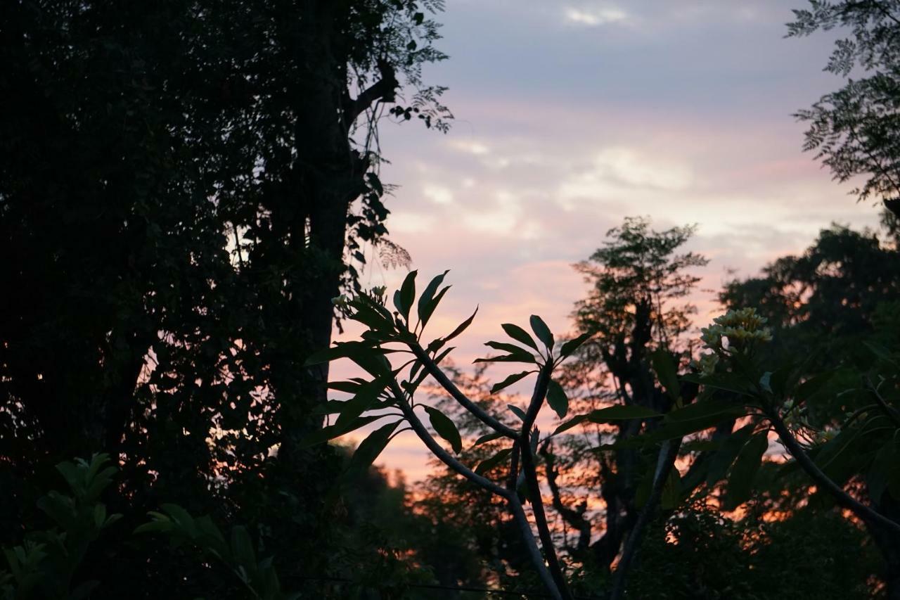 Tegal Sari, Pemuteran- North Bali Hotell Eksteriør bilde